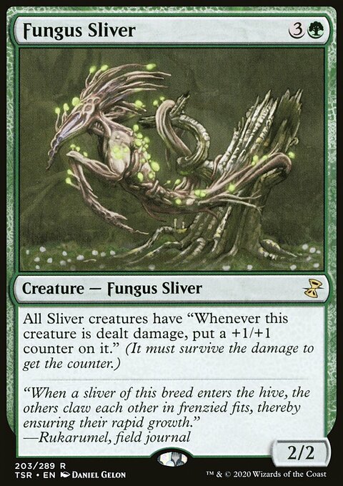 Fungus Sliver